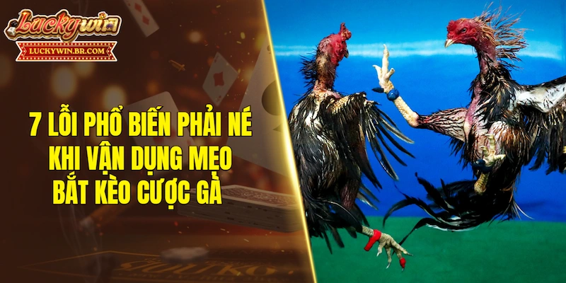 7 lỗi phổ biến phải né khi vận dụng mẹo bắt kèo cược gà